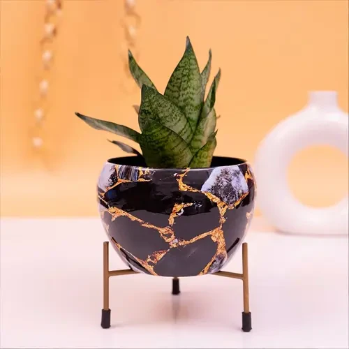 Garden Pots